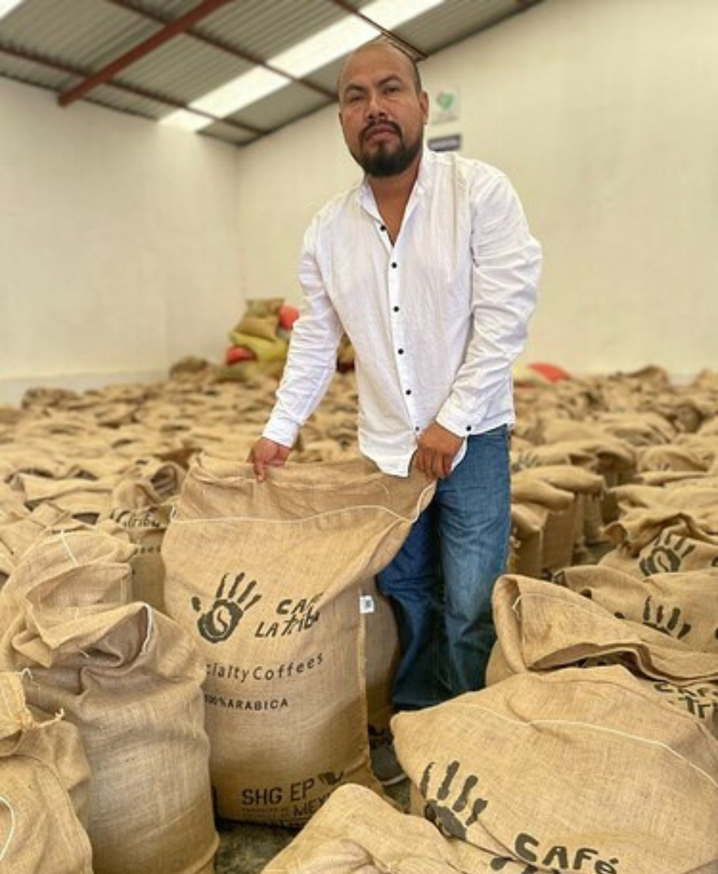 El Jaguar - Cooperativa La Tribu, Chiapas, México